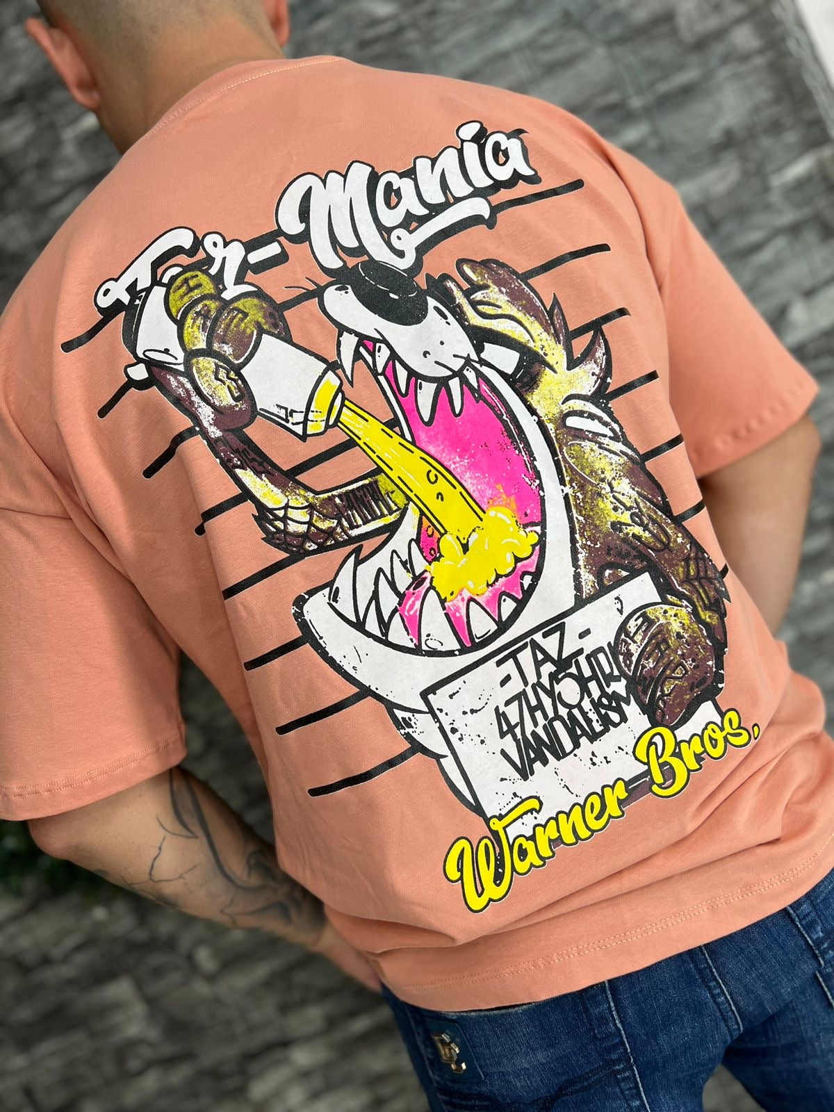 CAMISETA ESTAMPADA  TAZ