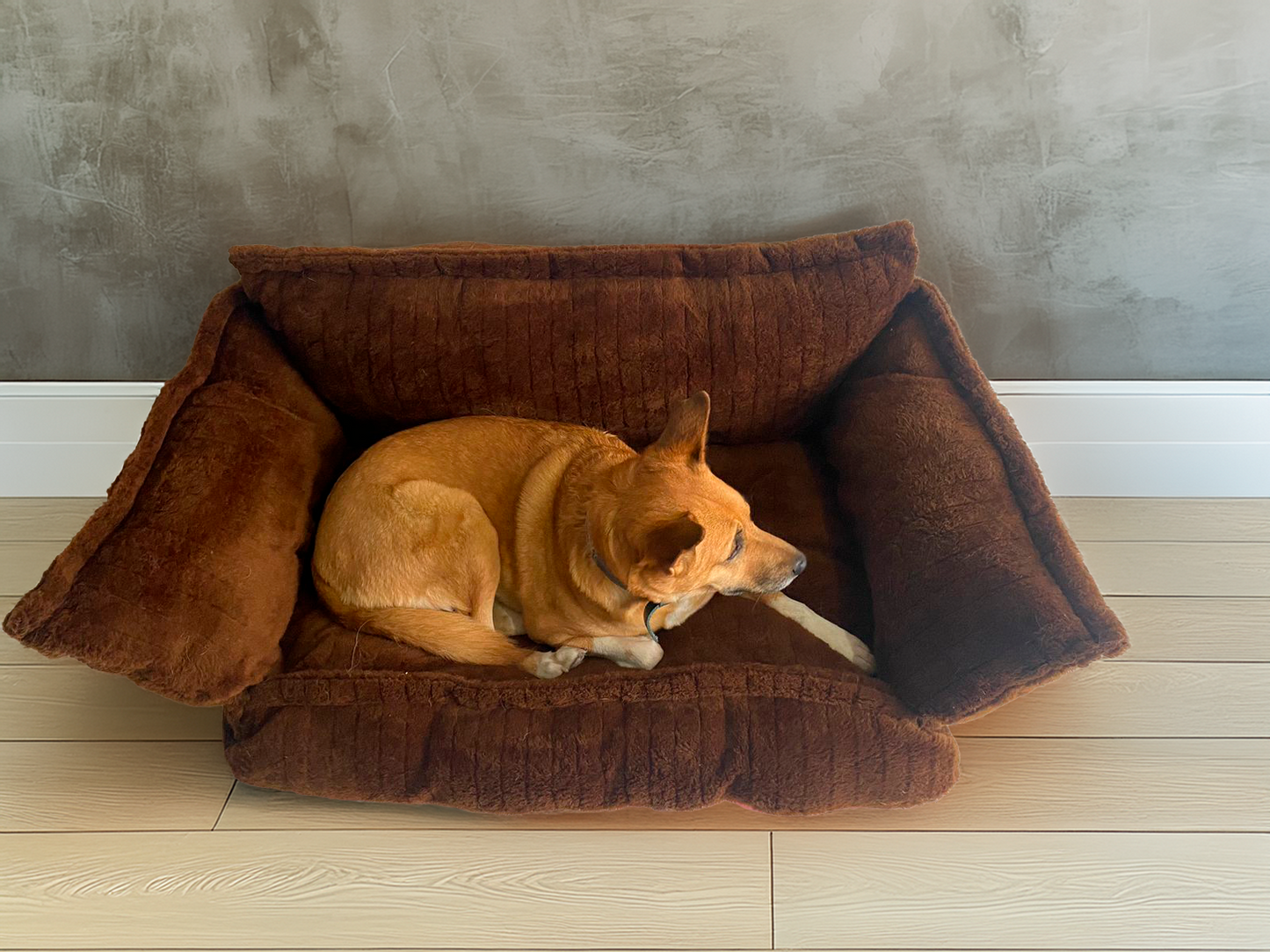 Sofá Cama para Mascotas Snozzy Dreams