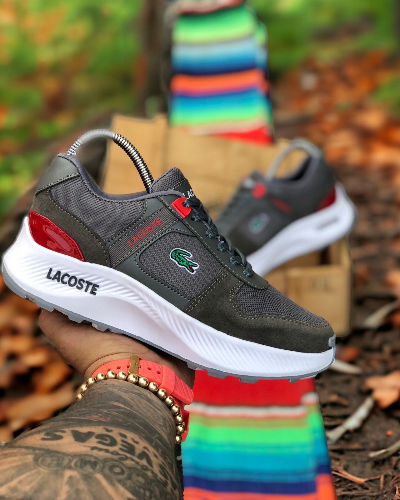 Lacoste Caballero + 2 Calcetines Gratis